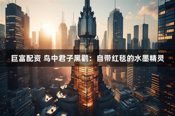 巨富配资 鸟中君子黑鹳：自带红毯的水墨精灵