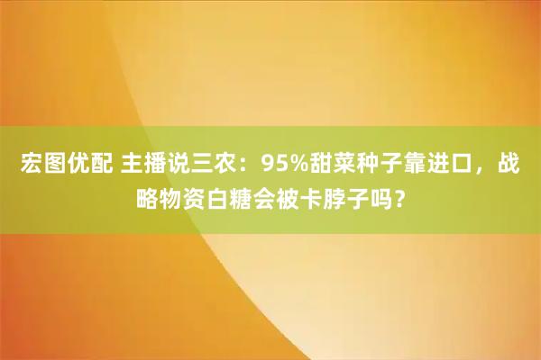 宏图优配 主播说三农：95%甜菜种子靠进口，战略物资白糖会被卡脖子吗？