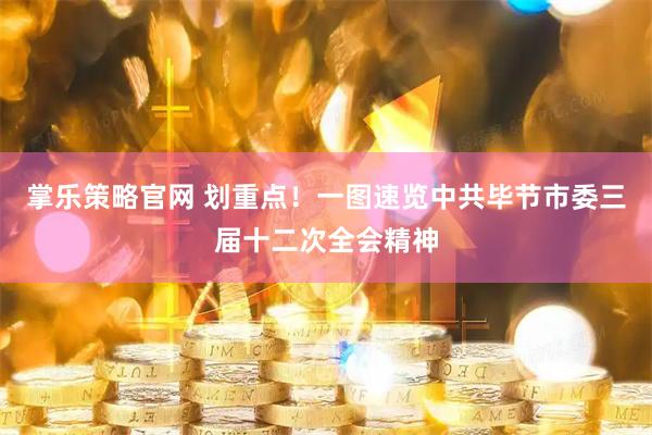 掌乐策略官网 划重点！一图速览中共毕节市委三届十二次全会精神